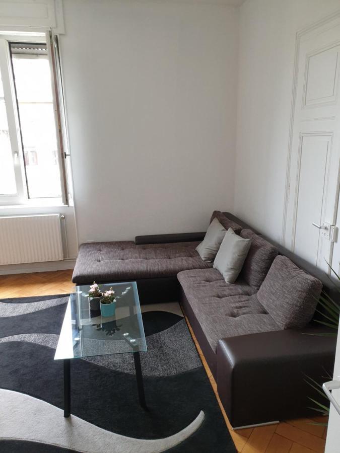 Strasbourg Centre Le 85, Superbe F5, 125M2, 5 Piecesアパートメント エクステリア 写真